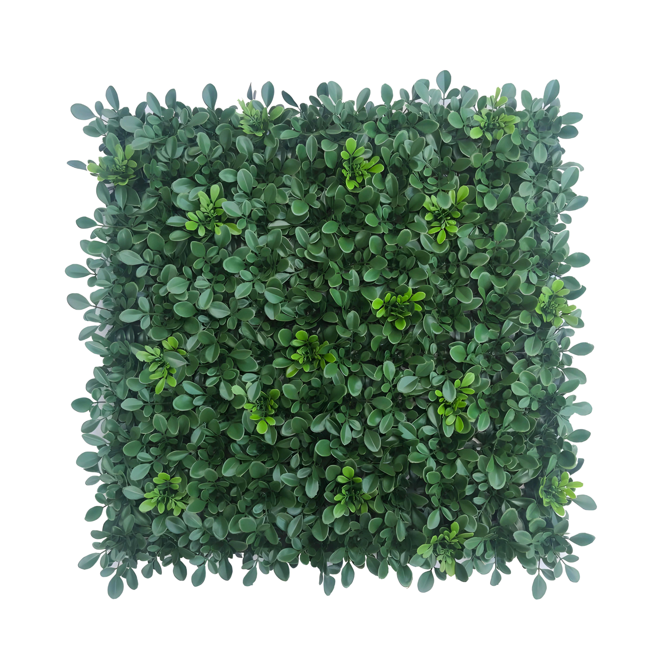 Set di 2 siepi artificiali "Plant" per parete in polipropilene cm 100x100