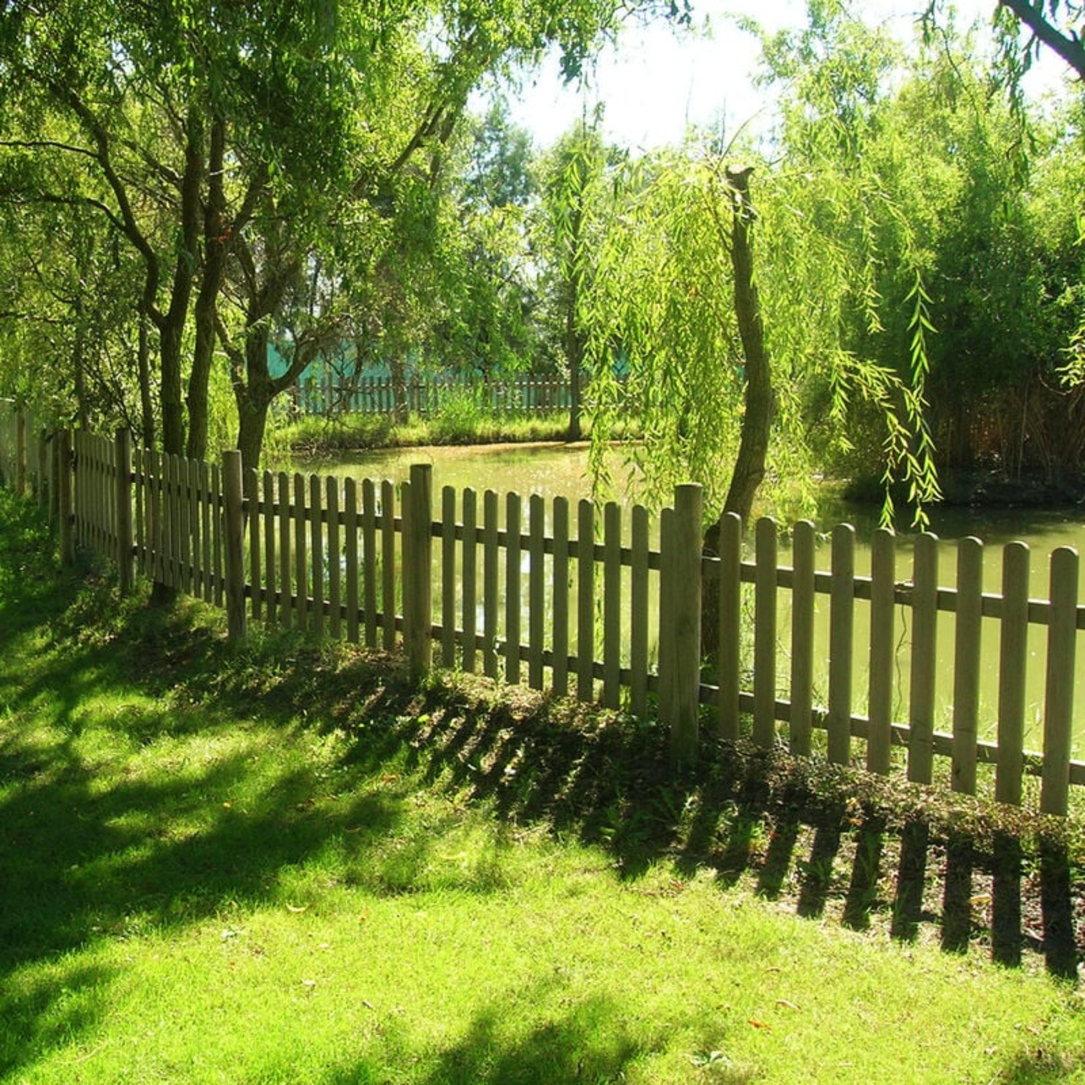 Valla alta de madera de pino impregnada Polly 180x100h cm