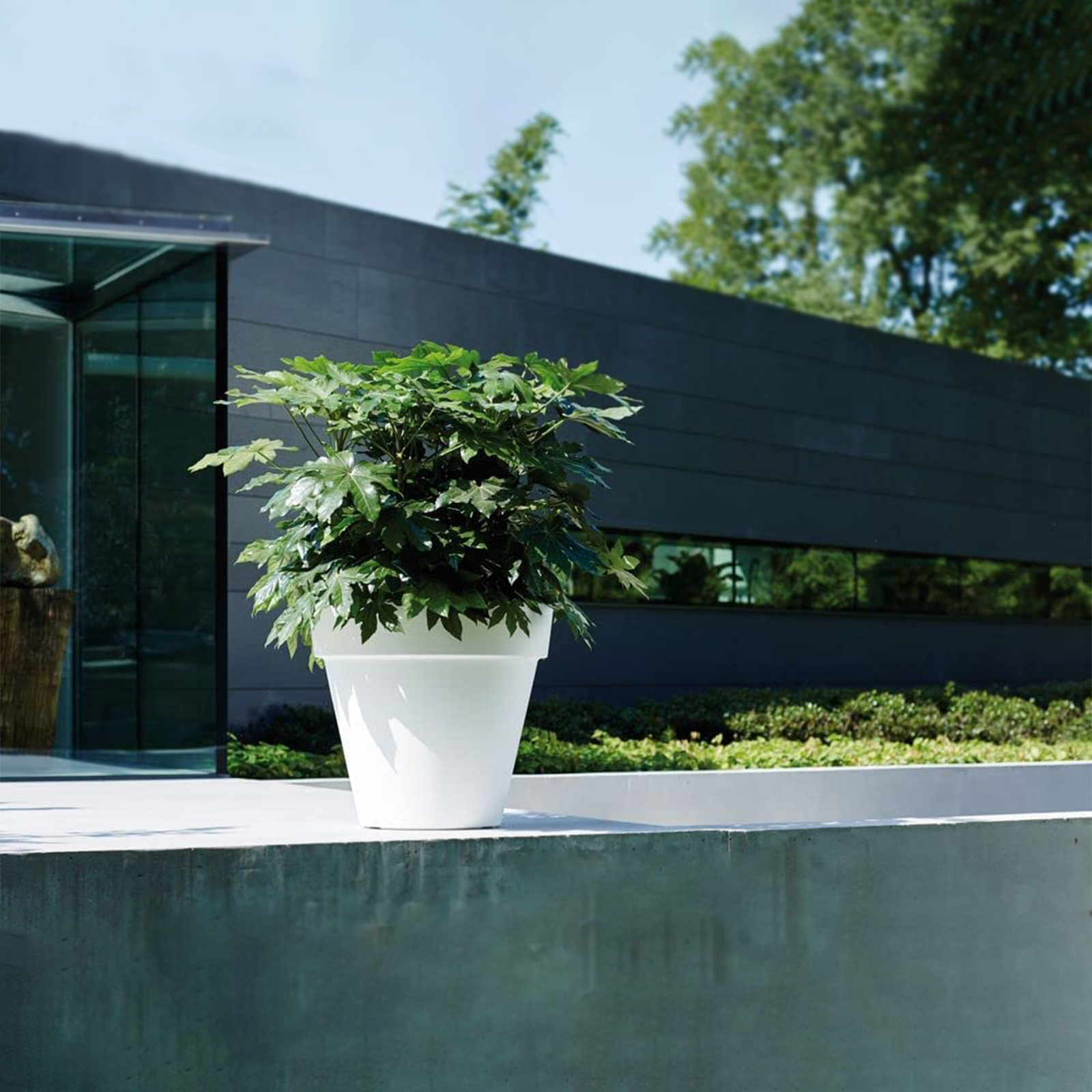 Vaso in plastica Dallas per esterno senza sottovaso cm 35x35 36h