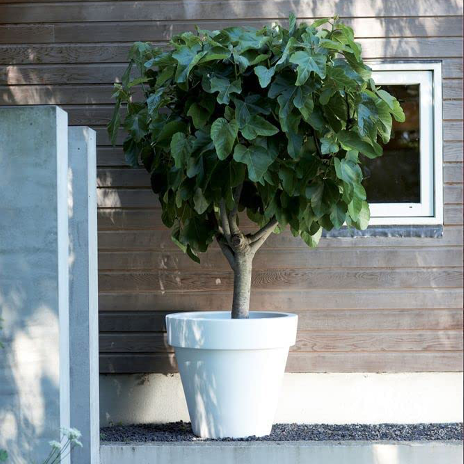 Vaso in plastica Dallas per esterno senza sottovaso cm 35x35 36h