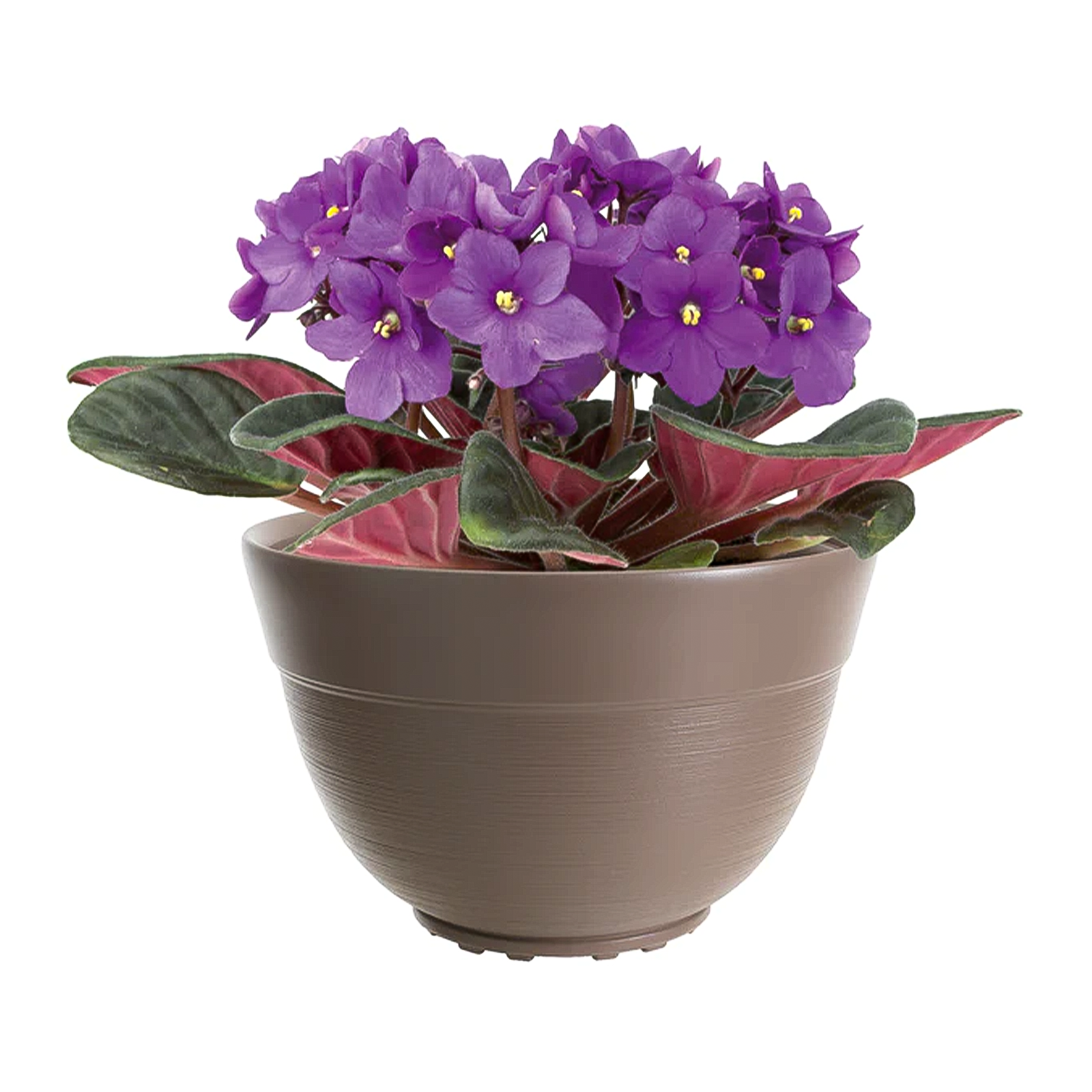 Vaso in resina conca Dora per esterno senza sottovaso con riserva d'acqua