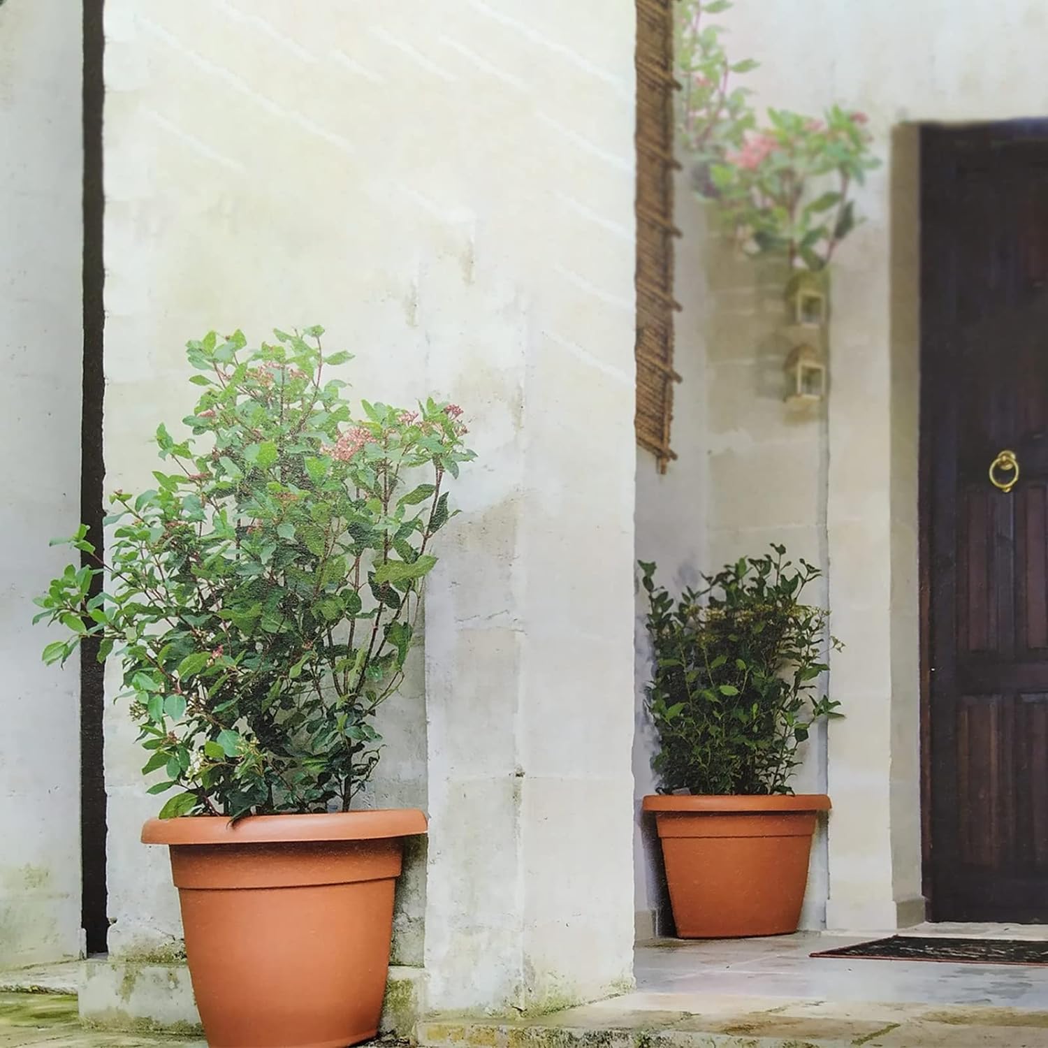 Vase d'angle et soucoupe d'angle en plastique Ulisse terre cuite pour extérieur 45x37 cm 40h