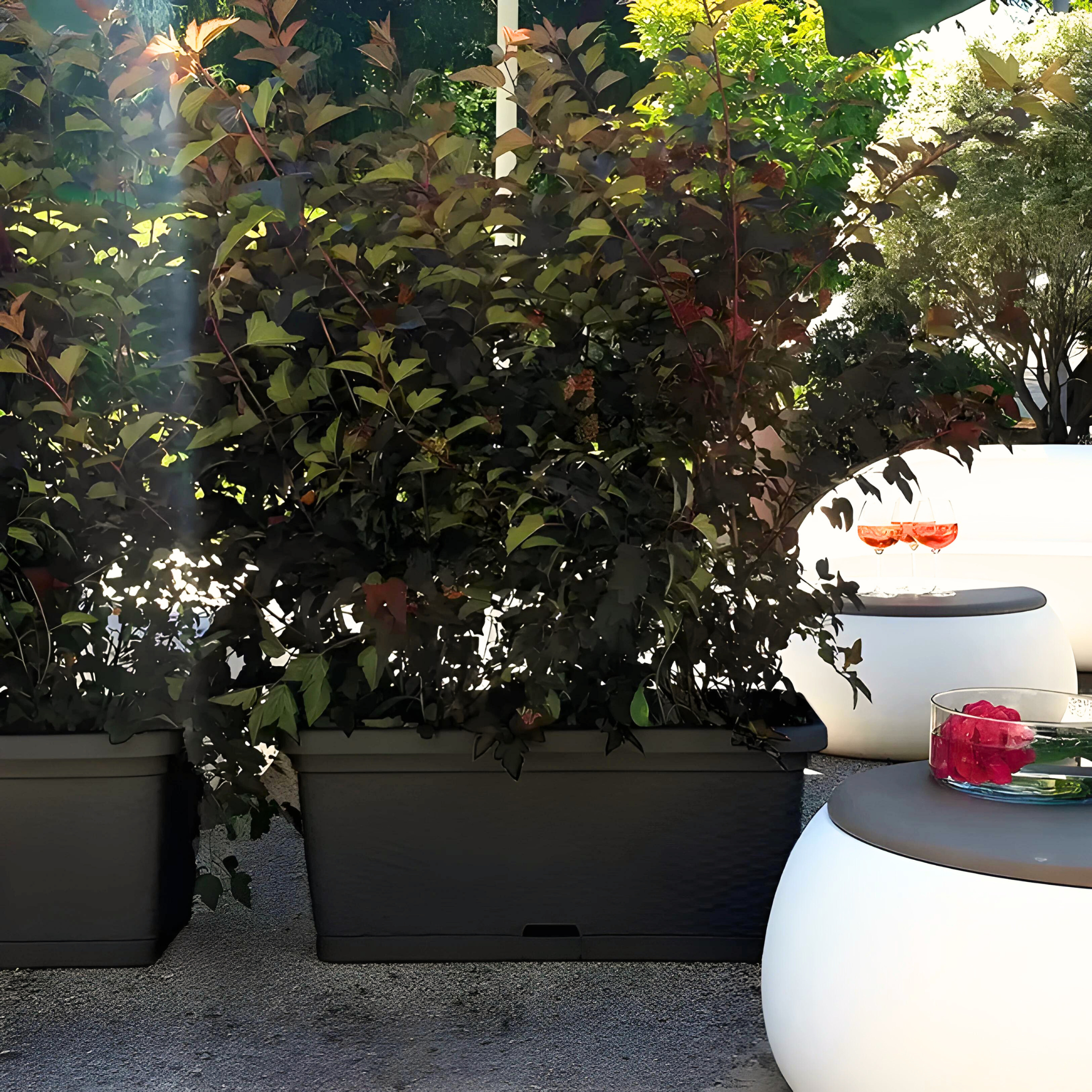 Jardinière en rotin avec roulettes et fond intérieur pour arrosage 80x40 cm 34h