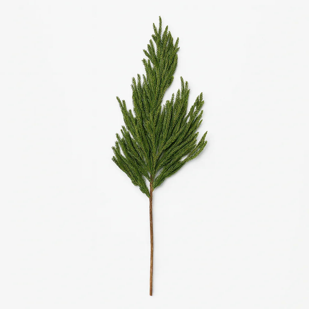 Ramo verde Norfolk Pine "Lian" in Pe effetto Real Touch da 90 cm