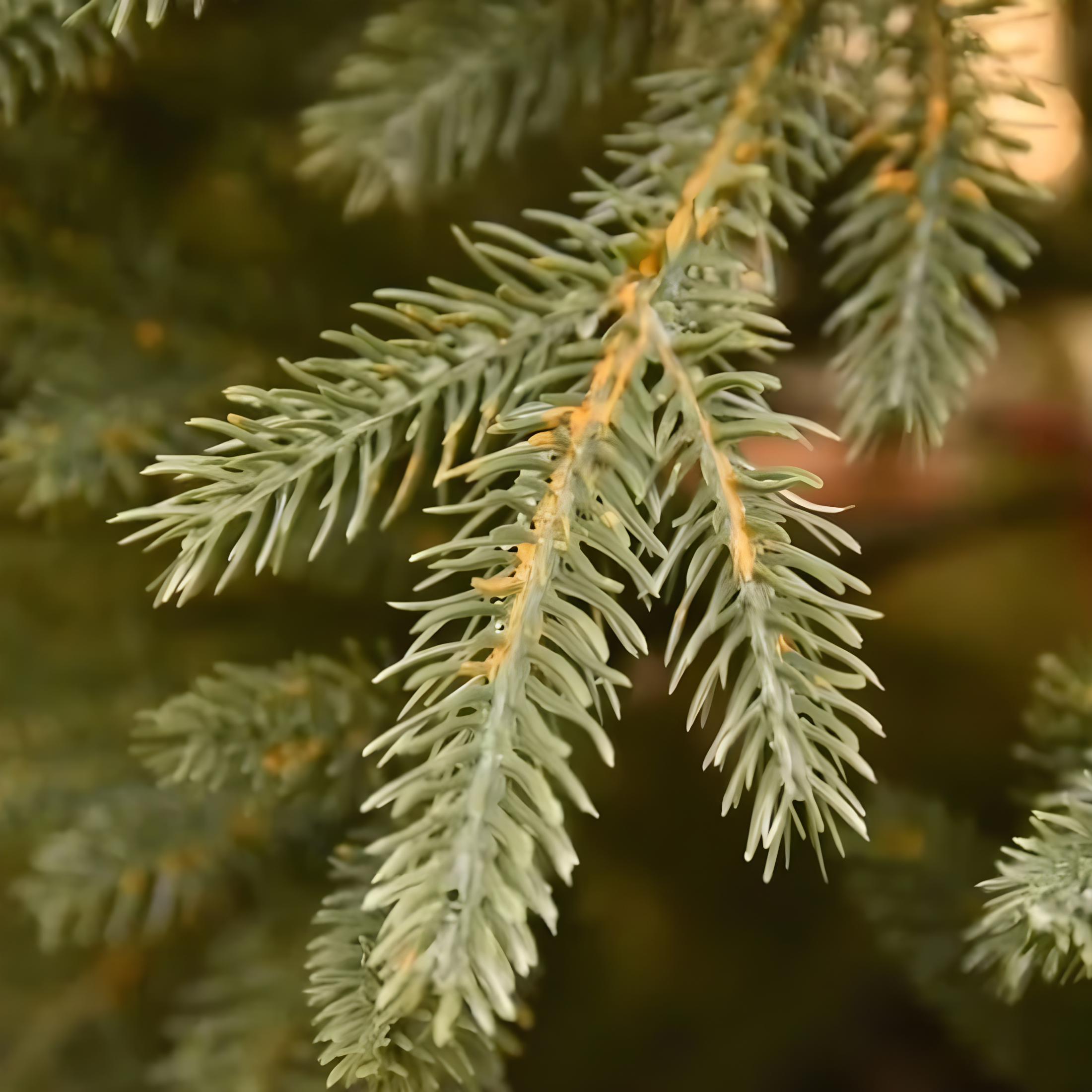 Albero di Natale "North Star" 100 % moderno in PE effetto Real Touch di altissima qualità