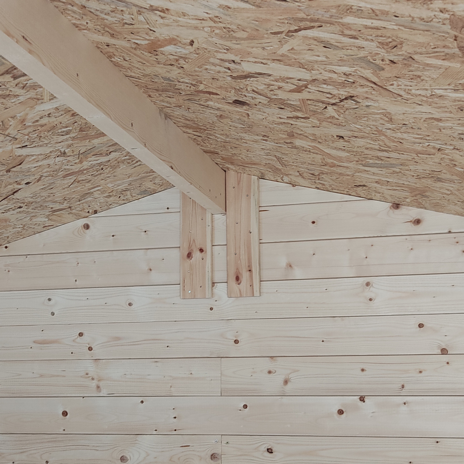 Abri de jardin en bois avec porte double fenêtre "Hobby" 200x200 cm 200h