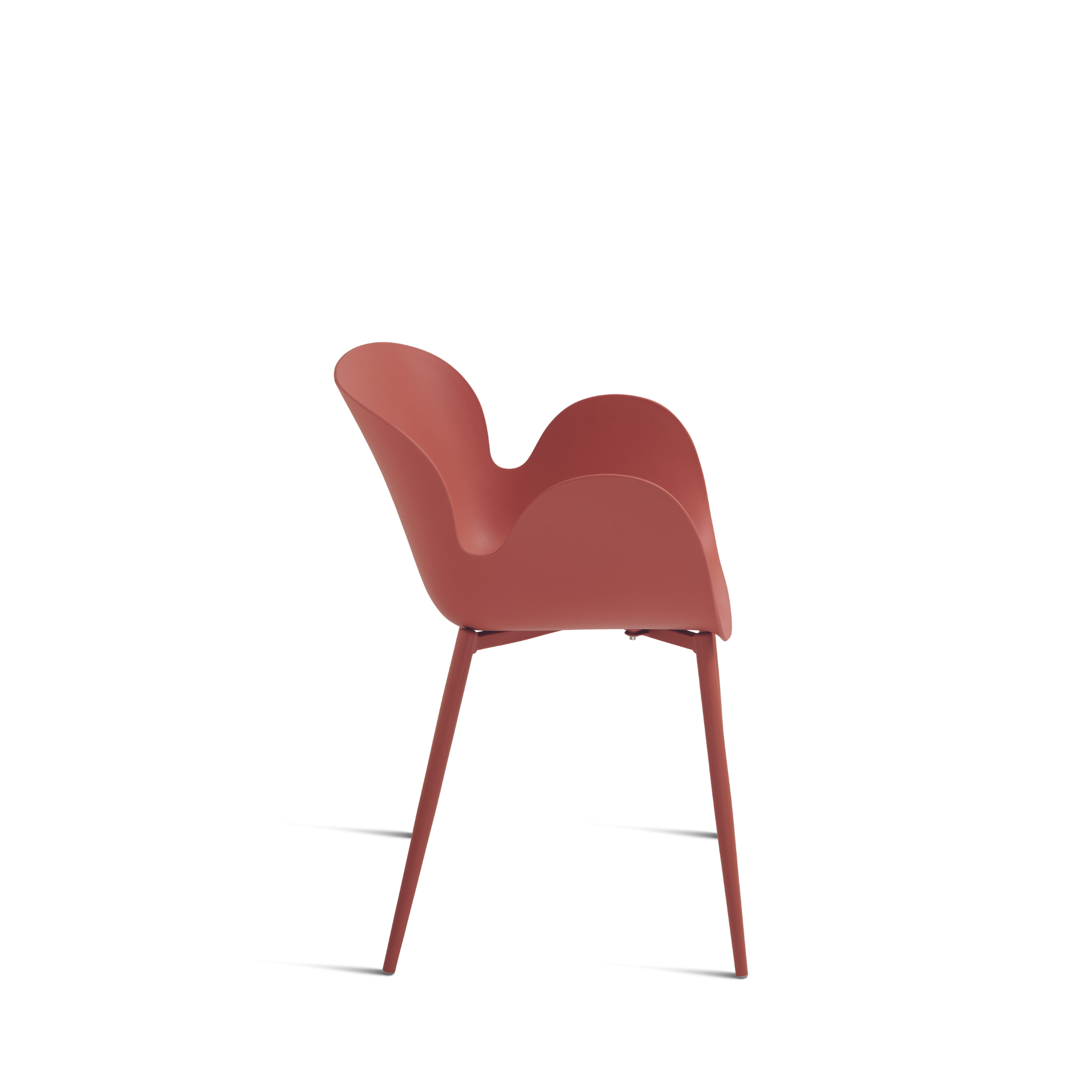 Chaise moderne en polypropylène "Fluo" avec structure en métal peint 53x56 h80 cm