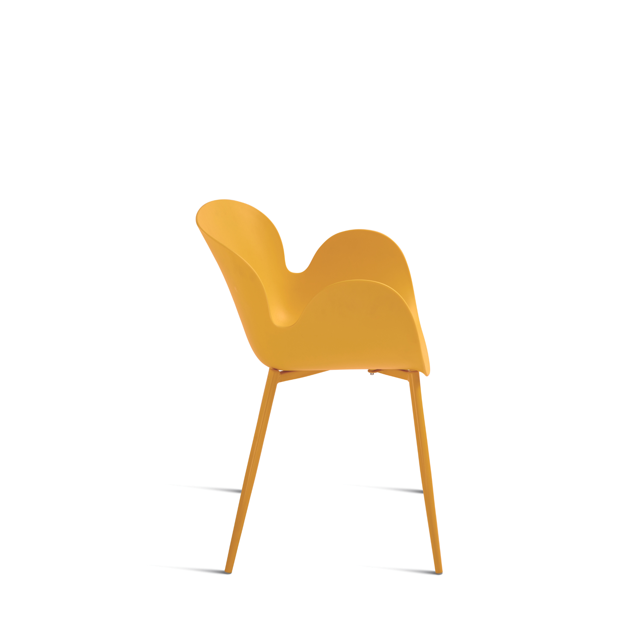Chaise moderne en polypropylène "Fluo" avec structure en métal peint 53x56 h80 cm