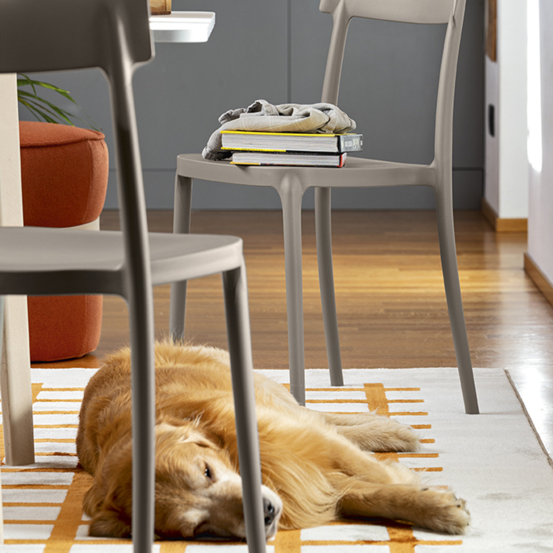 Set di sedie moderne in polipropilene impilabili "Argo" da soggiorno cm 48x47 82h