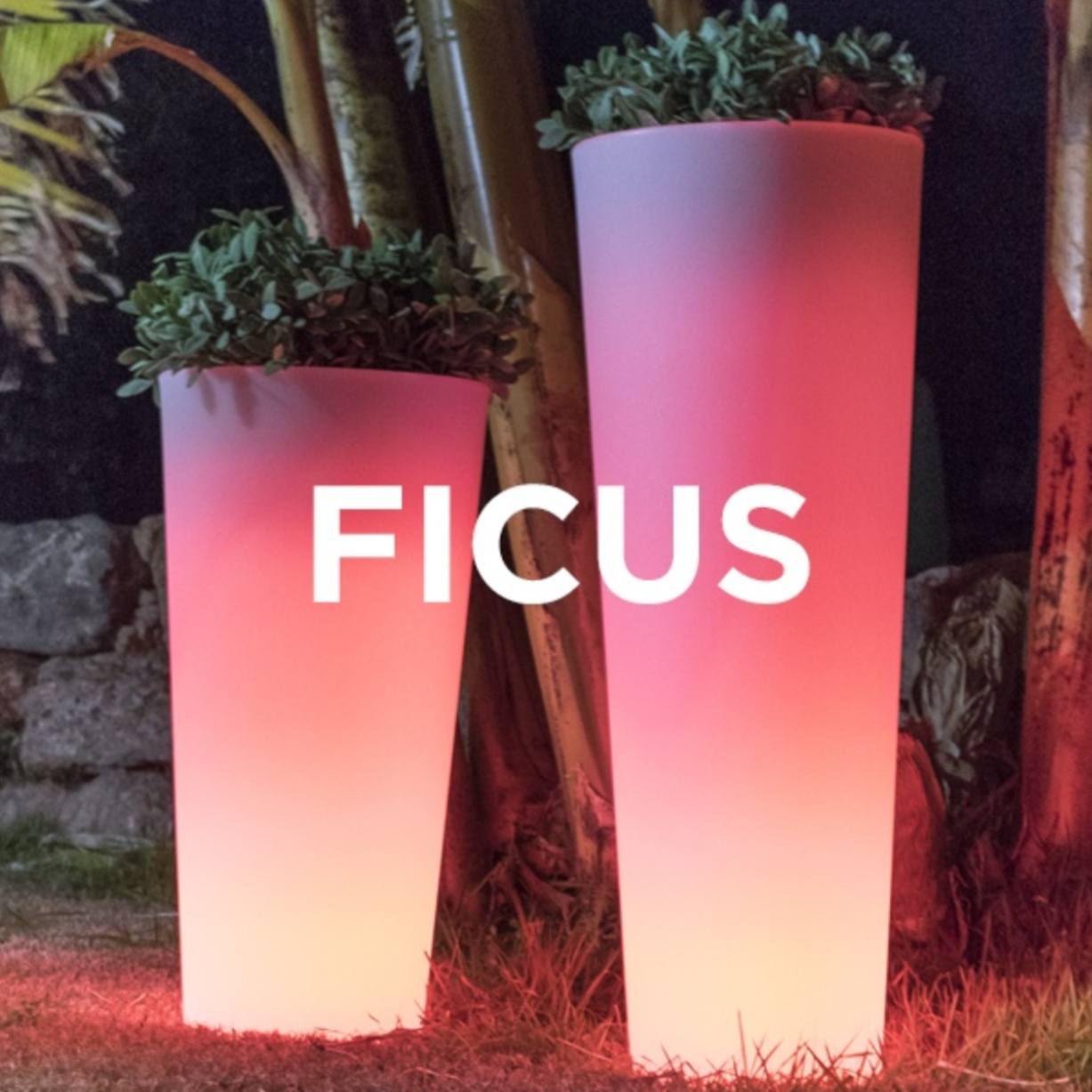 Vaso luminoso a led solare multicolore RGB tondo Ficus cm 29x29 59h