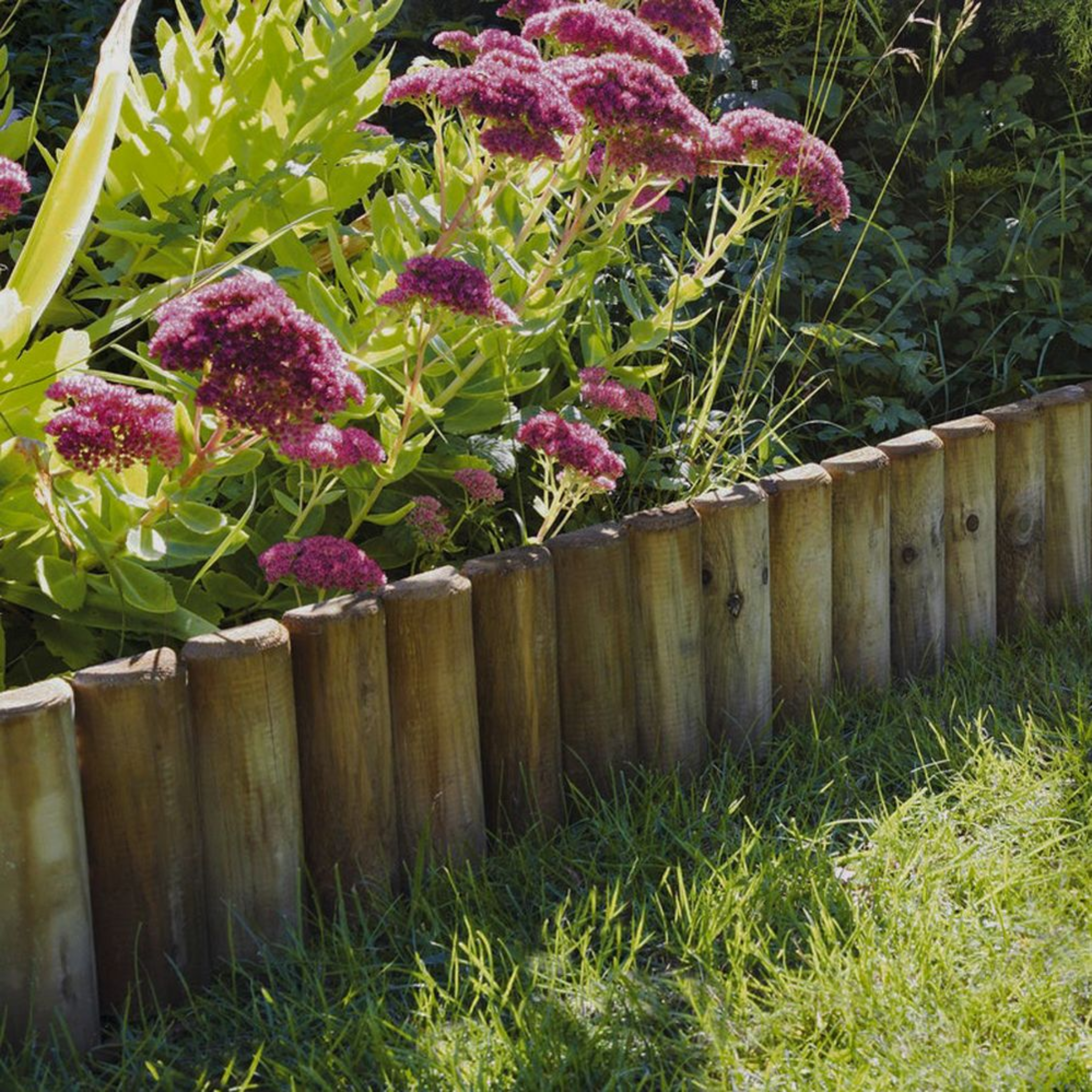 Clôture demi-poteau rollborder en bois de pin imprégné