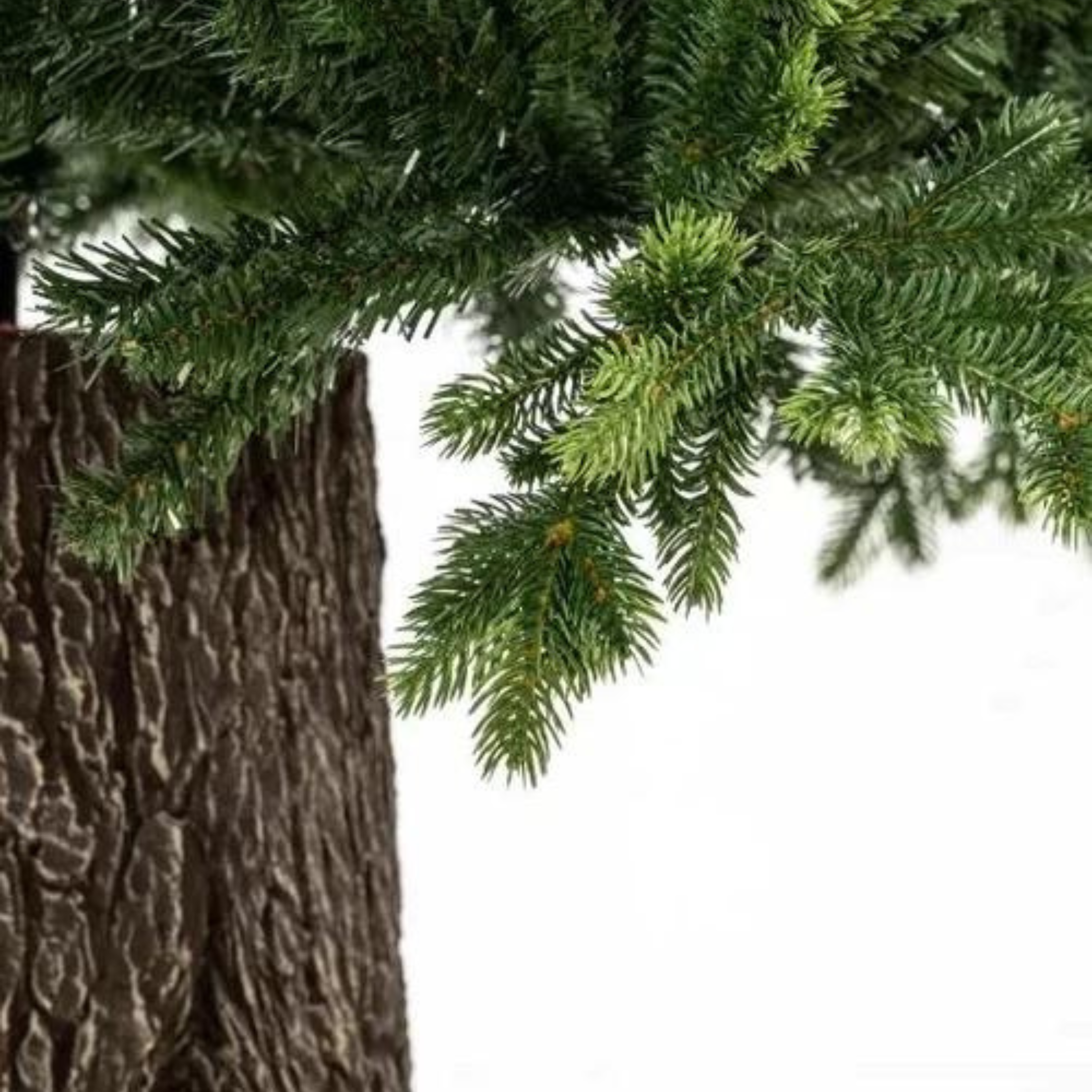 Árbol de Navidad con tronco "Reno" en PE Real Touch Effect
