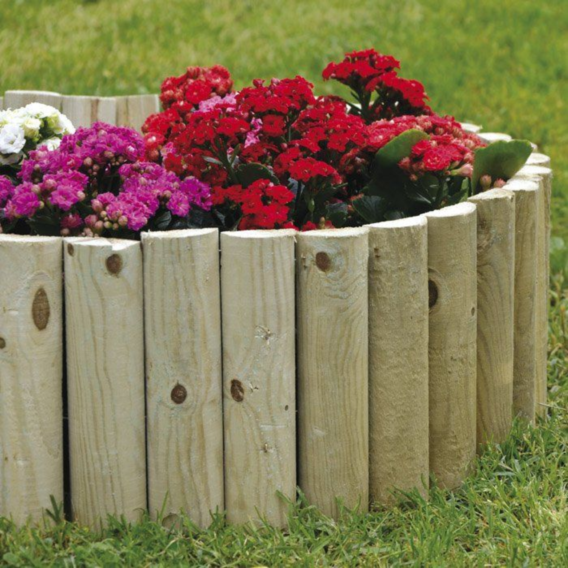 Clôture demi-poteau rollborder en bois de pin imprégné