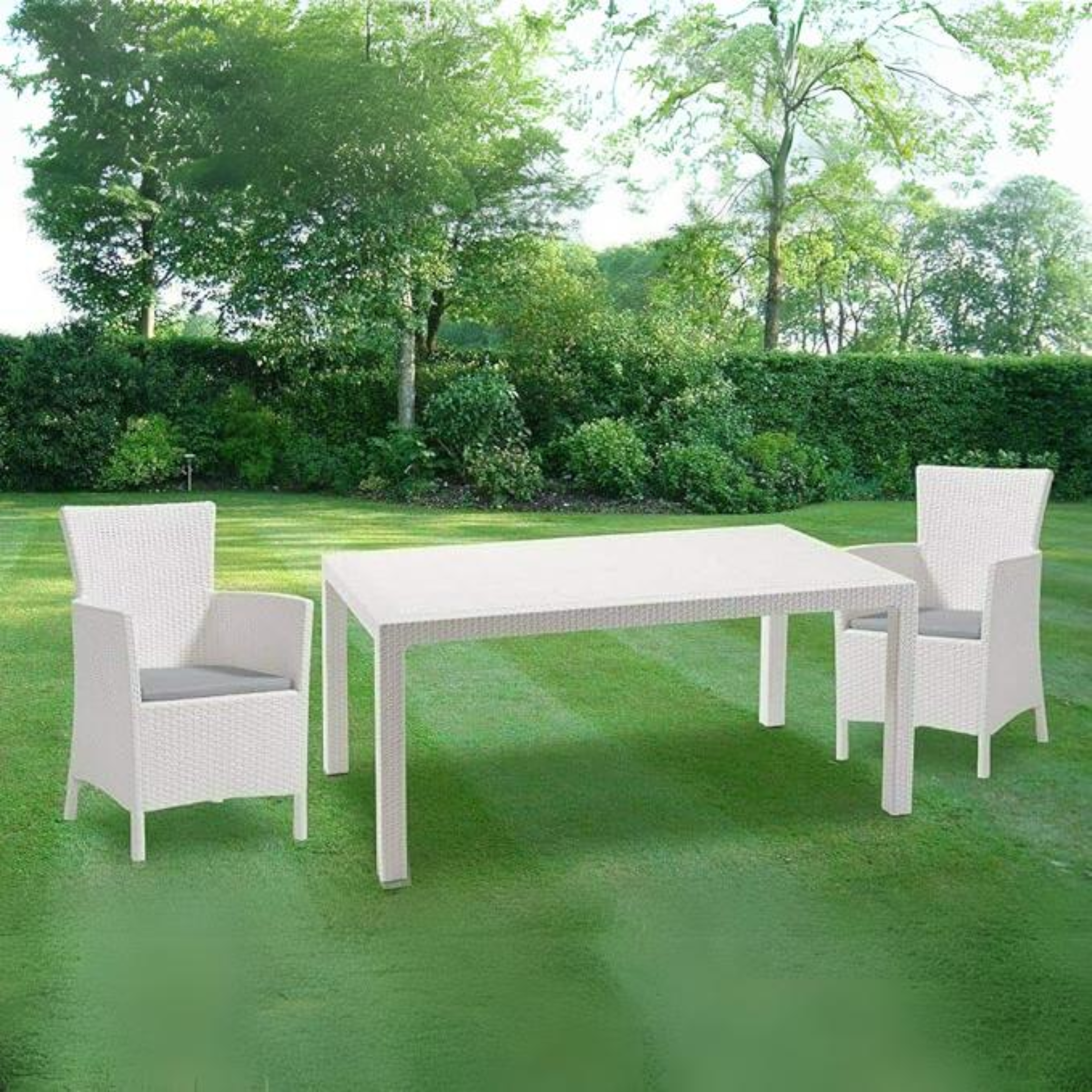 Table de jardin extérieur en résine "Melody" 160x94 cm 74h