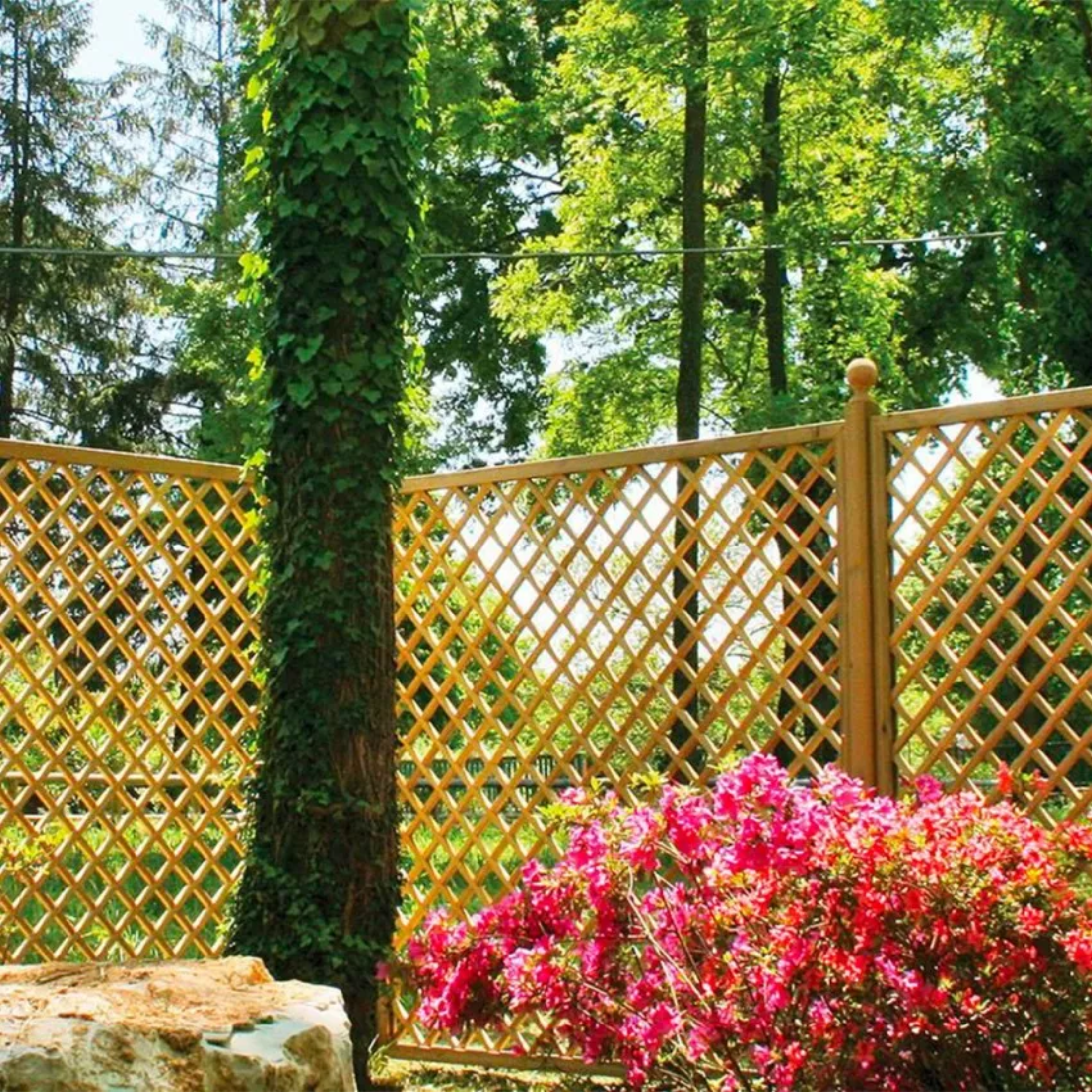 Pannello reticolato per giardino "Cordy" in legno