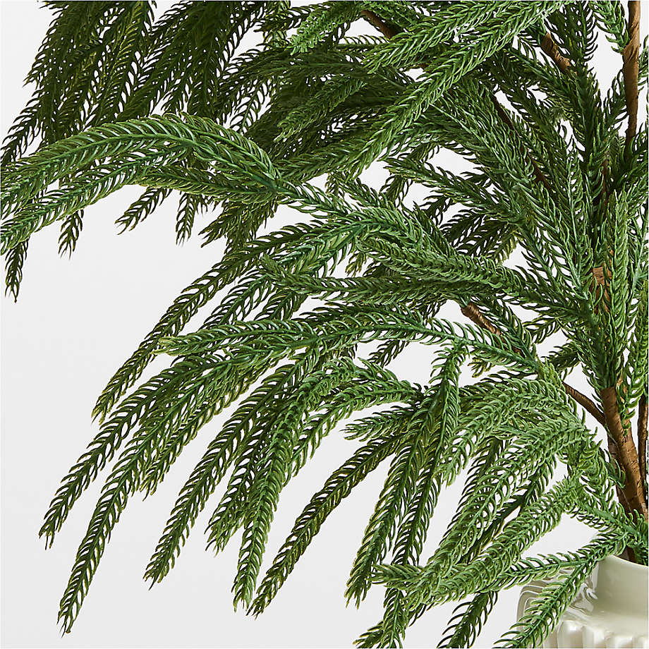 Ramo verde Norfolk Pine "Lian" in Pe effetto Real Touch da 90 cm