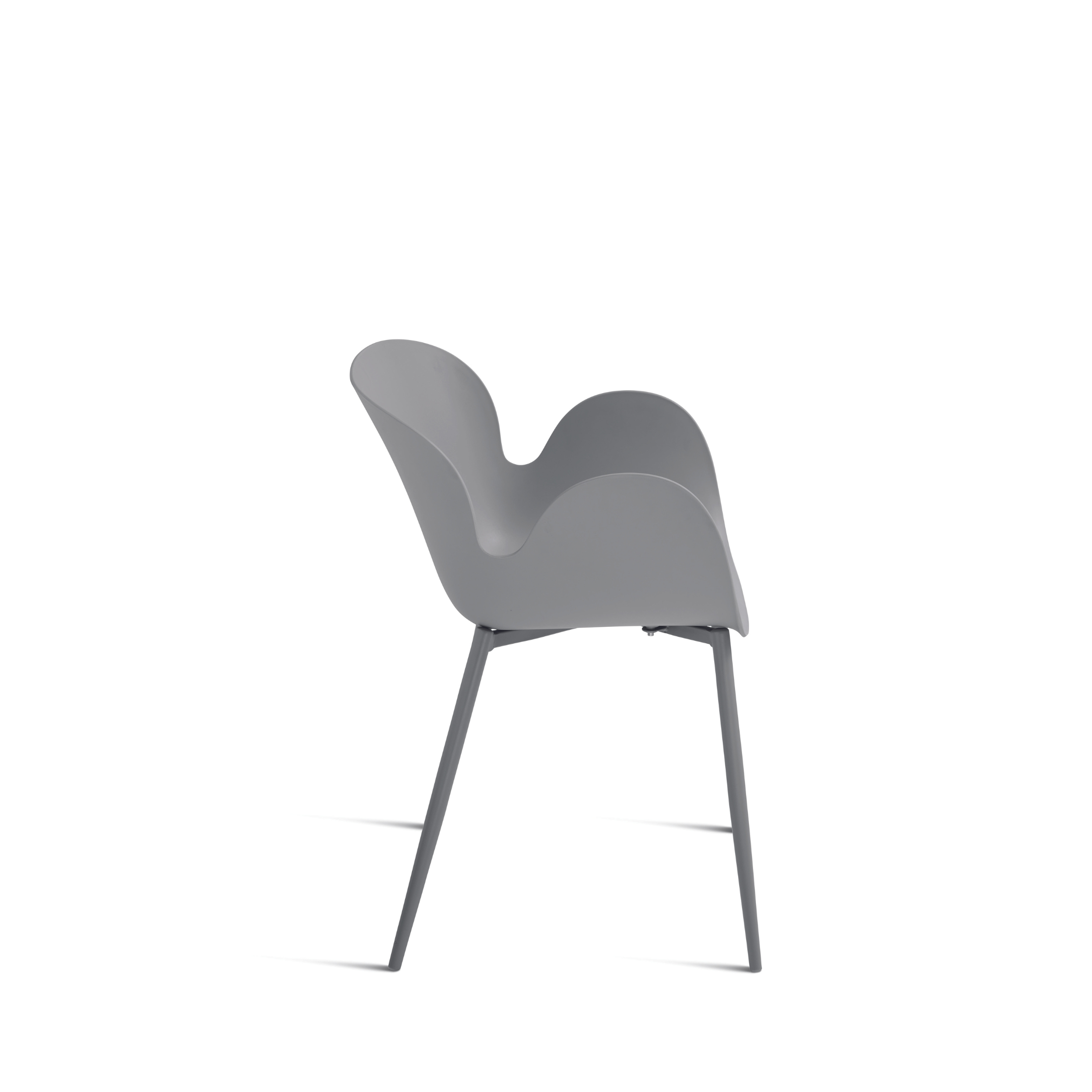 Chaise moderne en polypropylène "Fluo" avec structure en métal peint 53x56 h80 cm