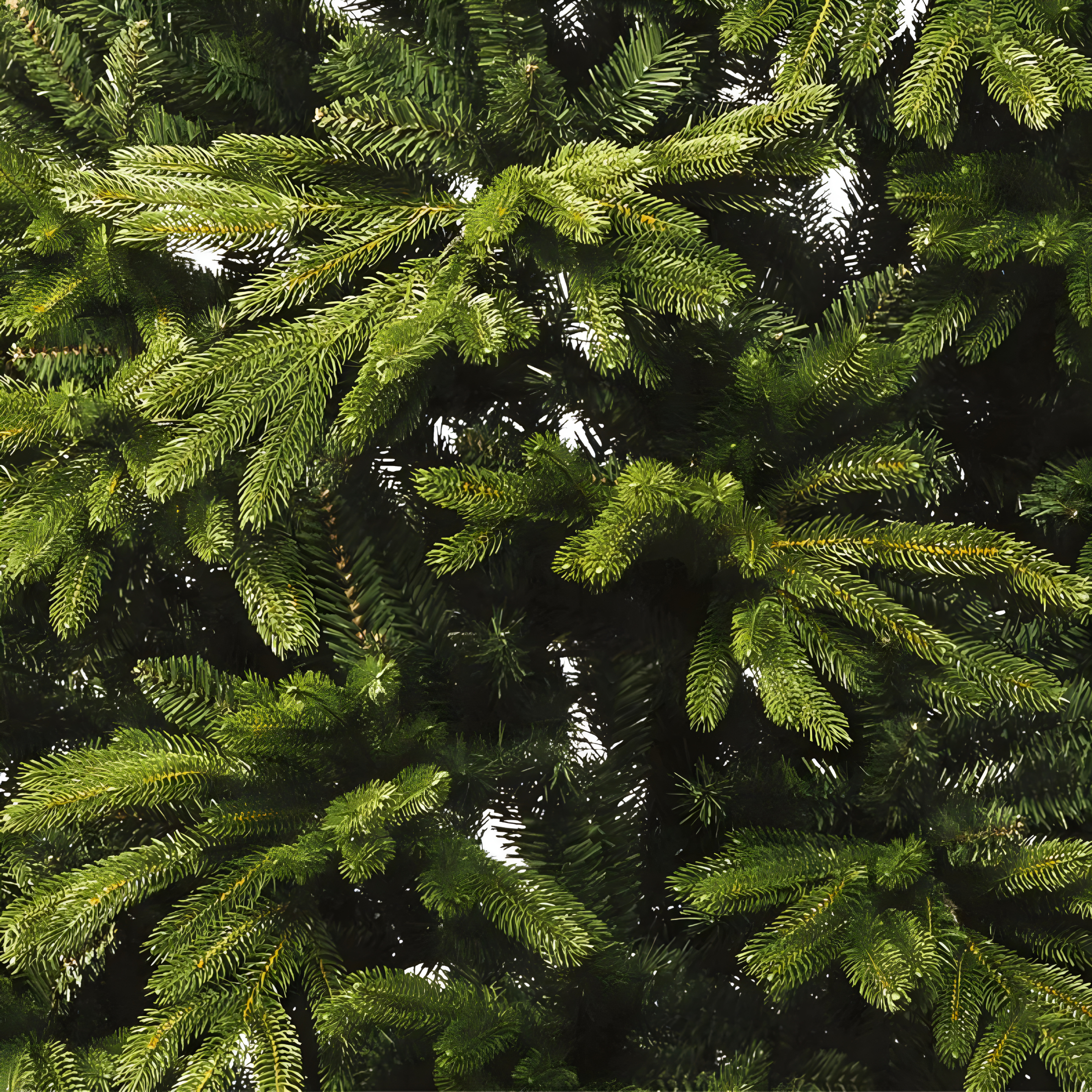 Albero di natale "Spitsbergen" 90% in PE Effetto Real Touch di Altissima qualità