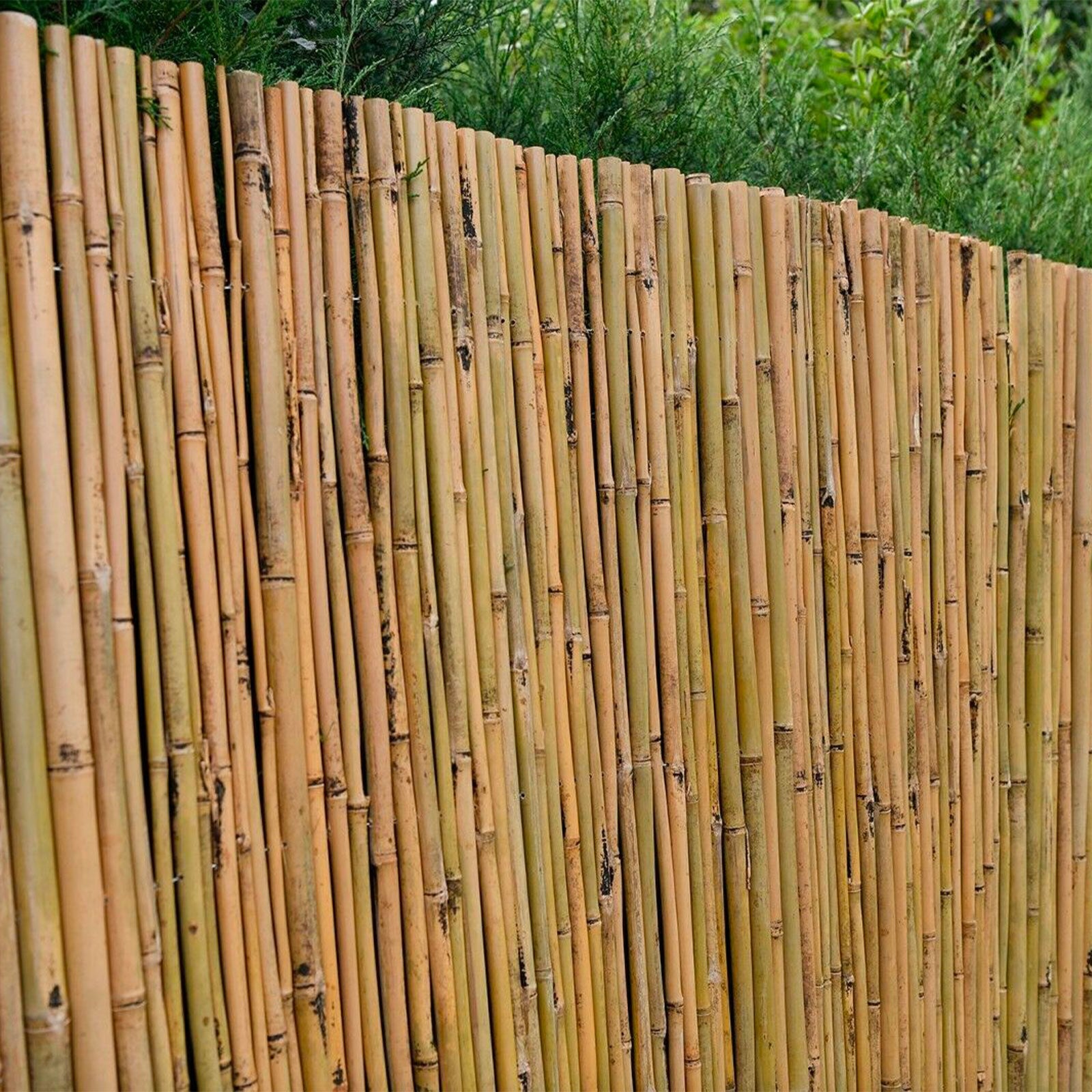 Arella da giardino in bambu naturale rilegate in filo di ferro canna Ø