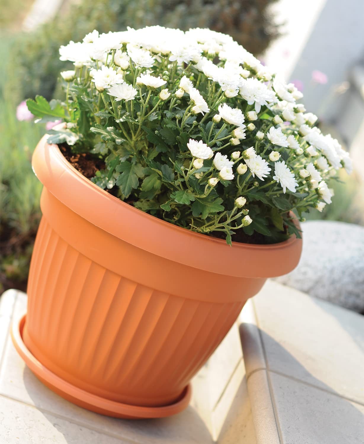 Vaso in polipropilene terracotta per piante e fiori