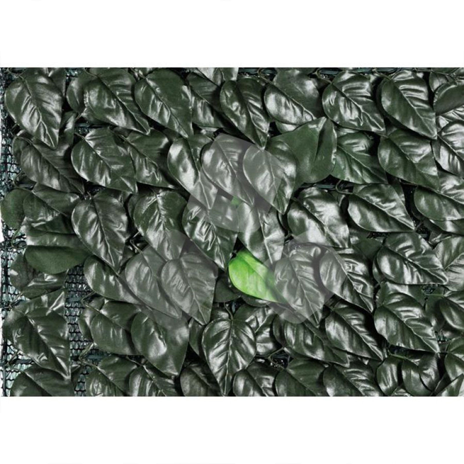 Siepe sintetica a foglie di lauro effetto naturale in rotolo